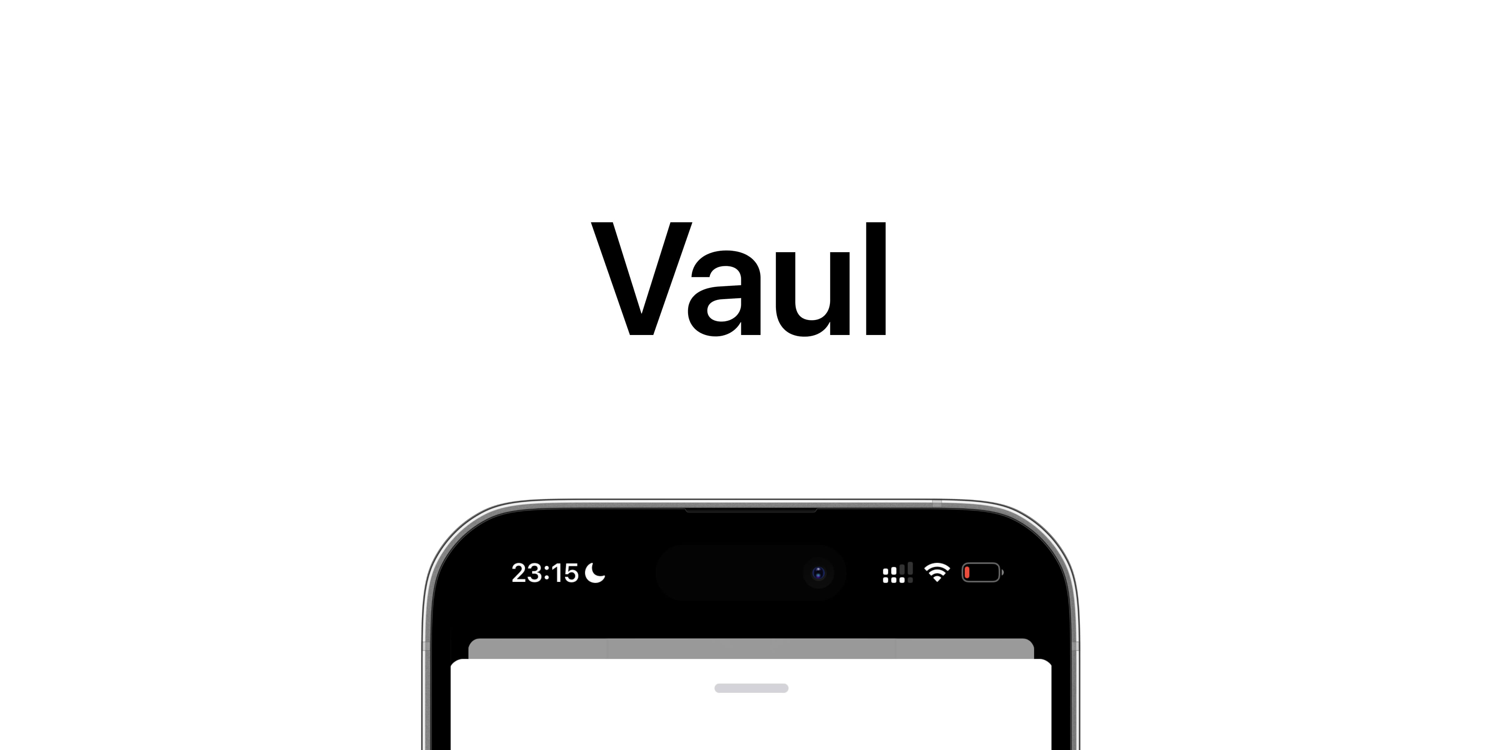 5 letter word with vaul in it